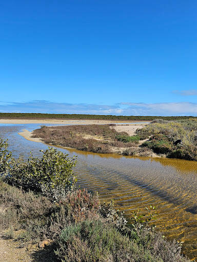 bank Adelaide International Bird Sanctuary National Park