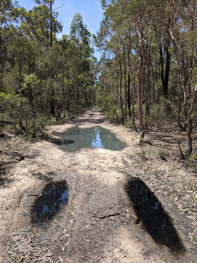 bank Agnes Banks Nature Reserve