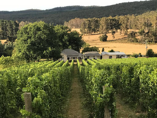 bank Apogee Tasmania