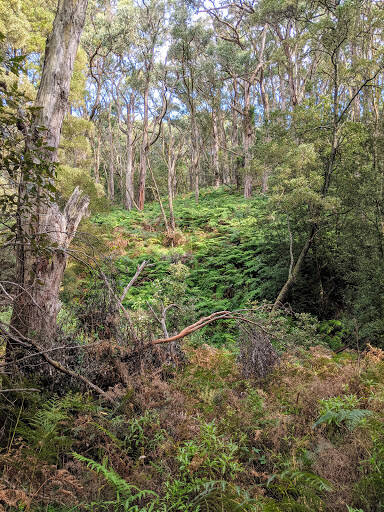 bank Baldry Crossing Picnic Area