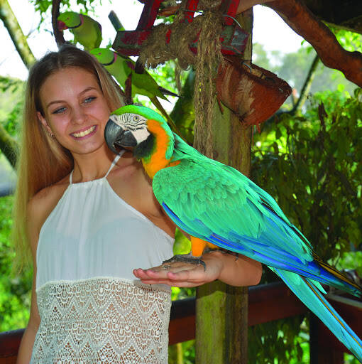 bank Birdworld Kuranda