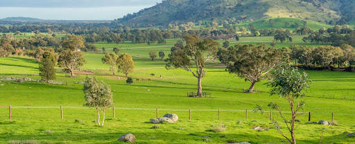 bank Blue Gum Farm Pty Ltd