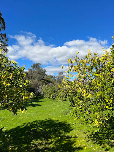 bank Boyanup Rest Area