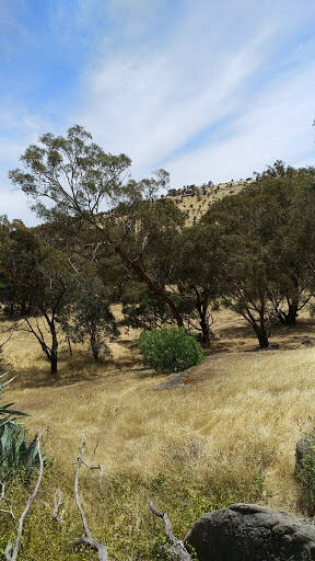 bank Carisbrook Recreation Reserve