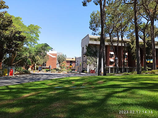 bank Curtin University