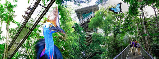 bank Daintree Discovery Centre
