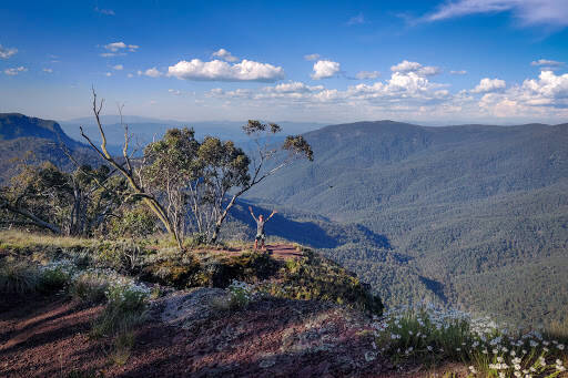 bank Dimmicks Lookout