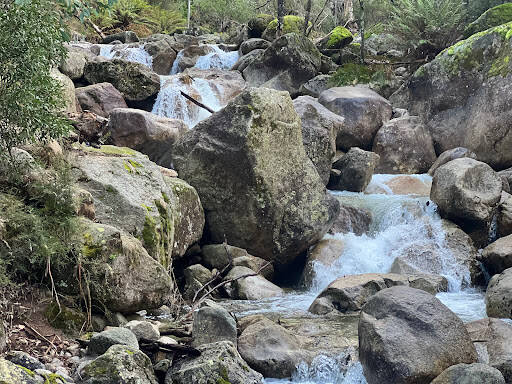 bank Eurobin Creek Picnic Area
