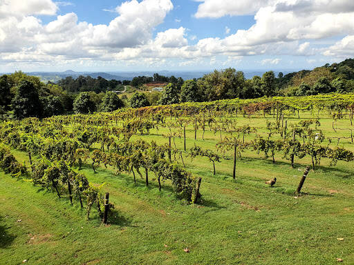bank Flame Hill Vineyard