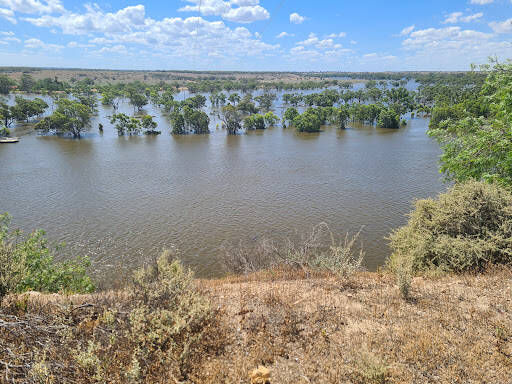 bank Graetz Lookout