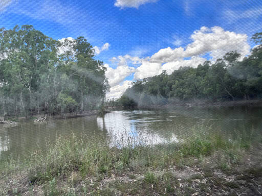 bank Gunbower National Park