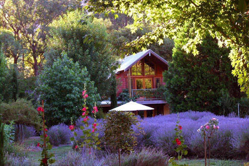 bank Lavender Hue Farm B&B, And Tea Rooms