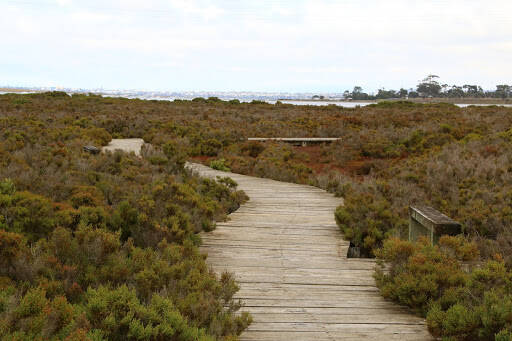 bank Limeburners Lagoon State Nature Reserve