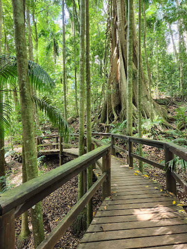 bank Maiala, Daguilar National Park