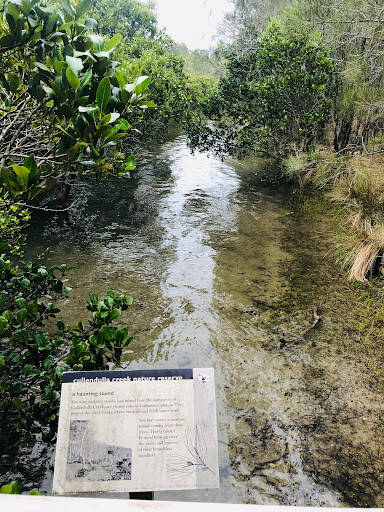 bank Mangrove Walk