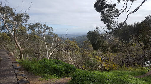 bank Measday'S Lookout