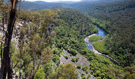 bank Mitchell River National Park