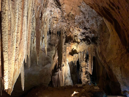 bank Mole Creek Karst National Park