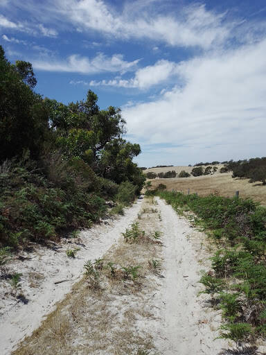 bank Mount Scott Conservation Park