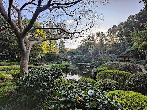 bank Mt Coot-Tha Botanical Gardens Lookout