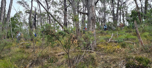 bank Mt George Summit