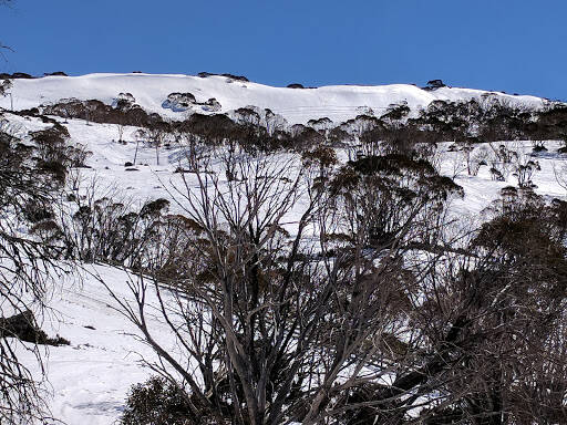 bank Muniong Ski Club