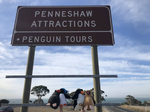 bank Penneshaw Penguin Centre