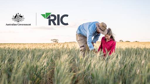 bank Ric (Regional Investment Corporation)