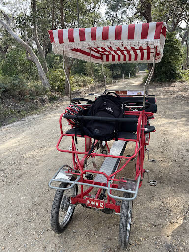 bank Ride The Koalas