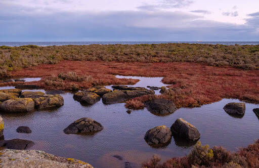 bank Rifle Range Reserve & Jawbone Arboretum