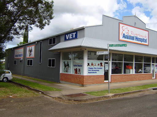 bank Riverbank Animal Hospital