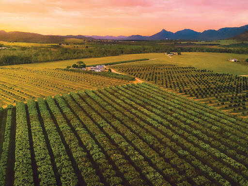 bank Rocky Creek Orchards