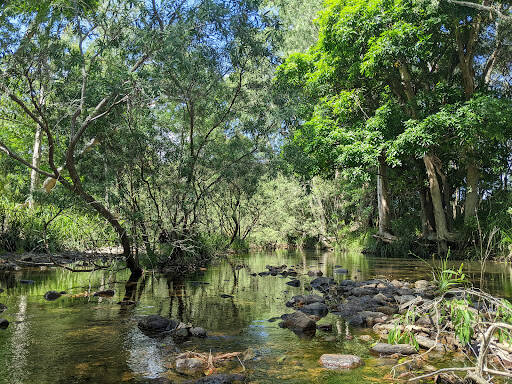 bank Rollingstone Creek