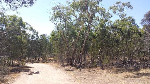 bank Sandy Creek Conservation Park