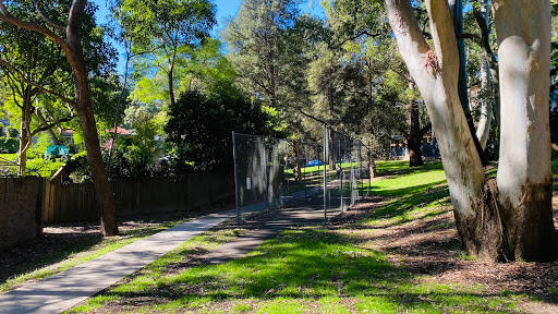 bank Stringybark Reserve