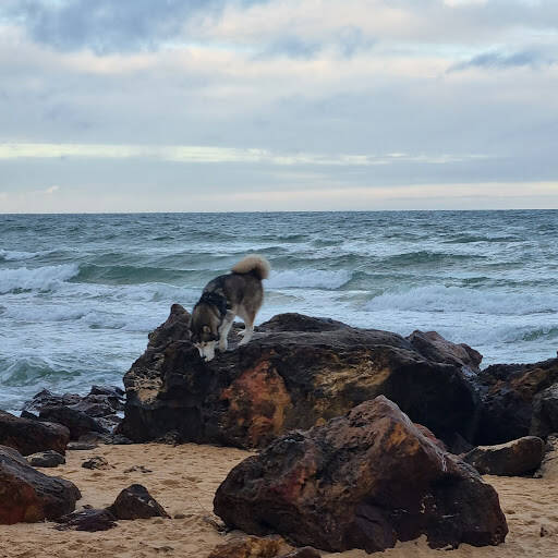 bank Sunnyside Beach