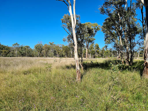 bank Thanes Creek Fossicking Area