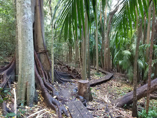 bank The Palms National Park
