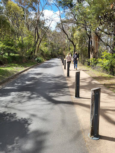 bank Wentworth Falls Picnic Area