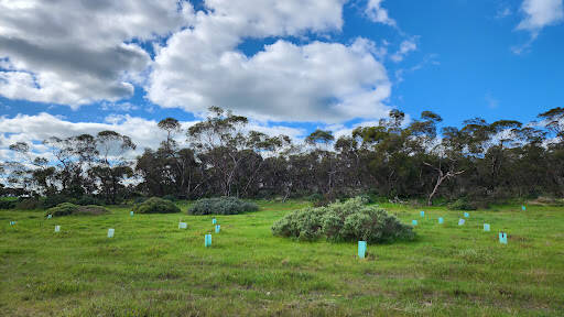 bank Wirraworra Private Sanctuary